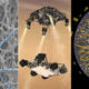 Illustration for article titled The Biggest Scientific Breakthroughs of 2012